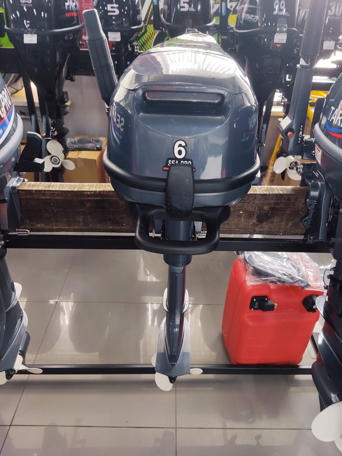 Мотор Sea-Pro F6S