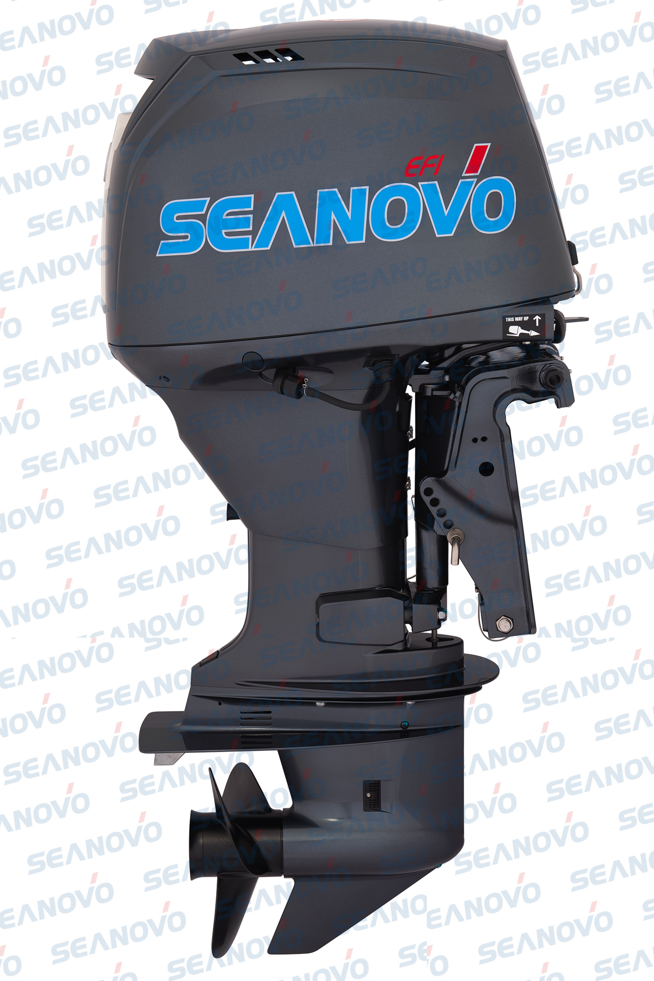 Мотор Seanovo SNEF60FVEL-T - EFI
