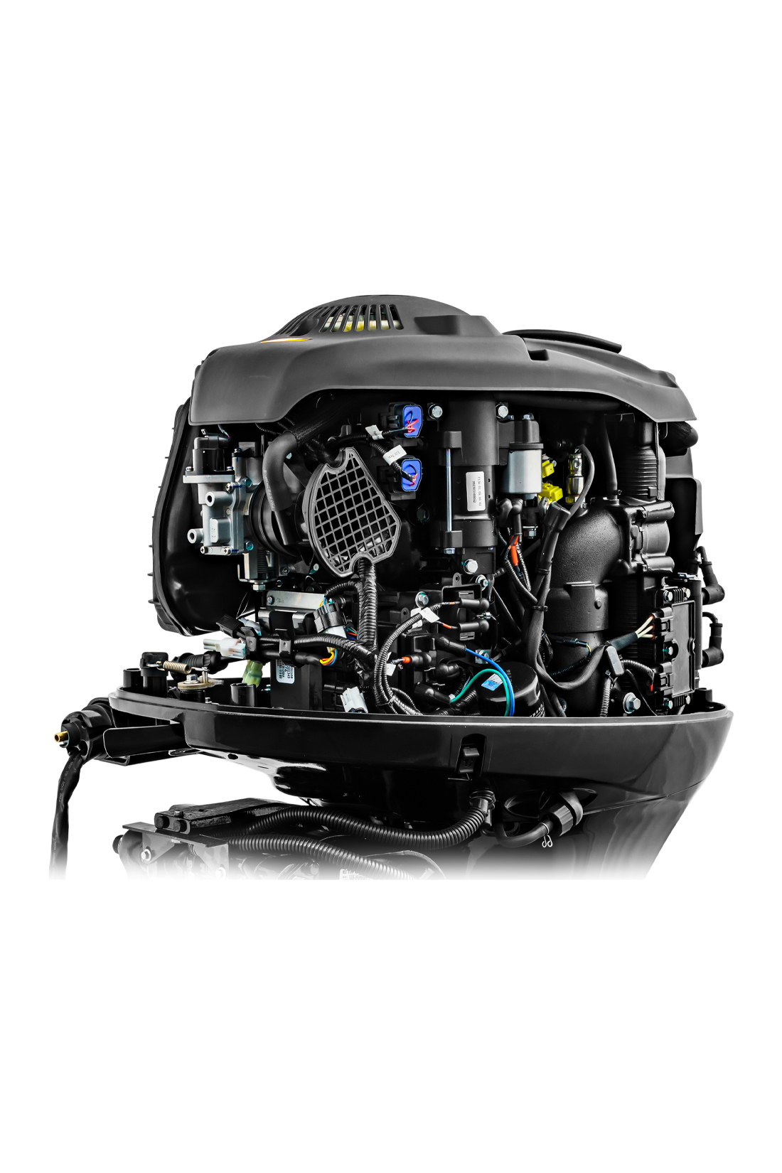 Мотор REEF RIDER RREF100FEL-T