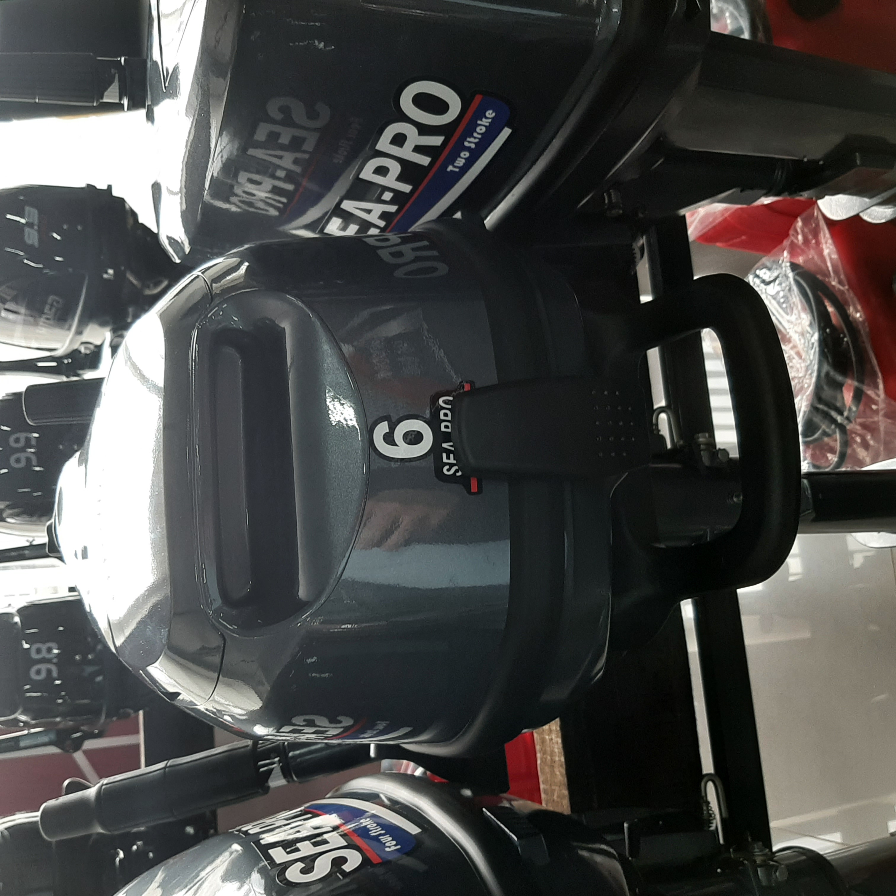 Мотор Sea-Pro F6S