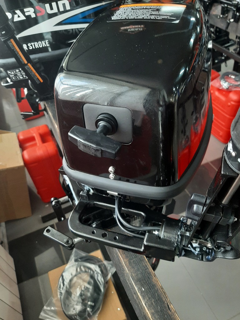 Мотор Parsun T9.8BMS