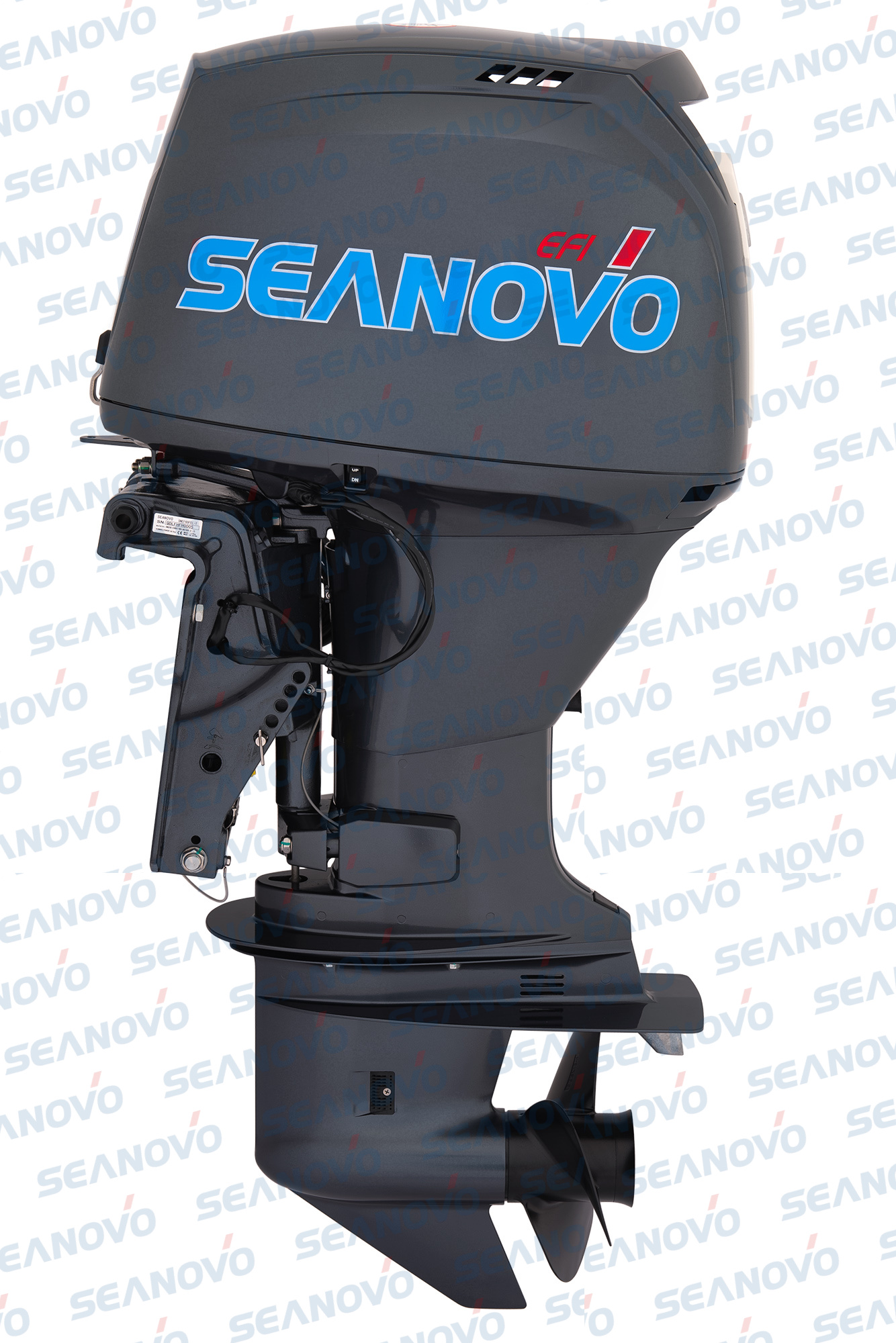 Мотор Seanovo SNEF60FVEL-T - EFI