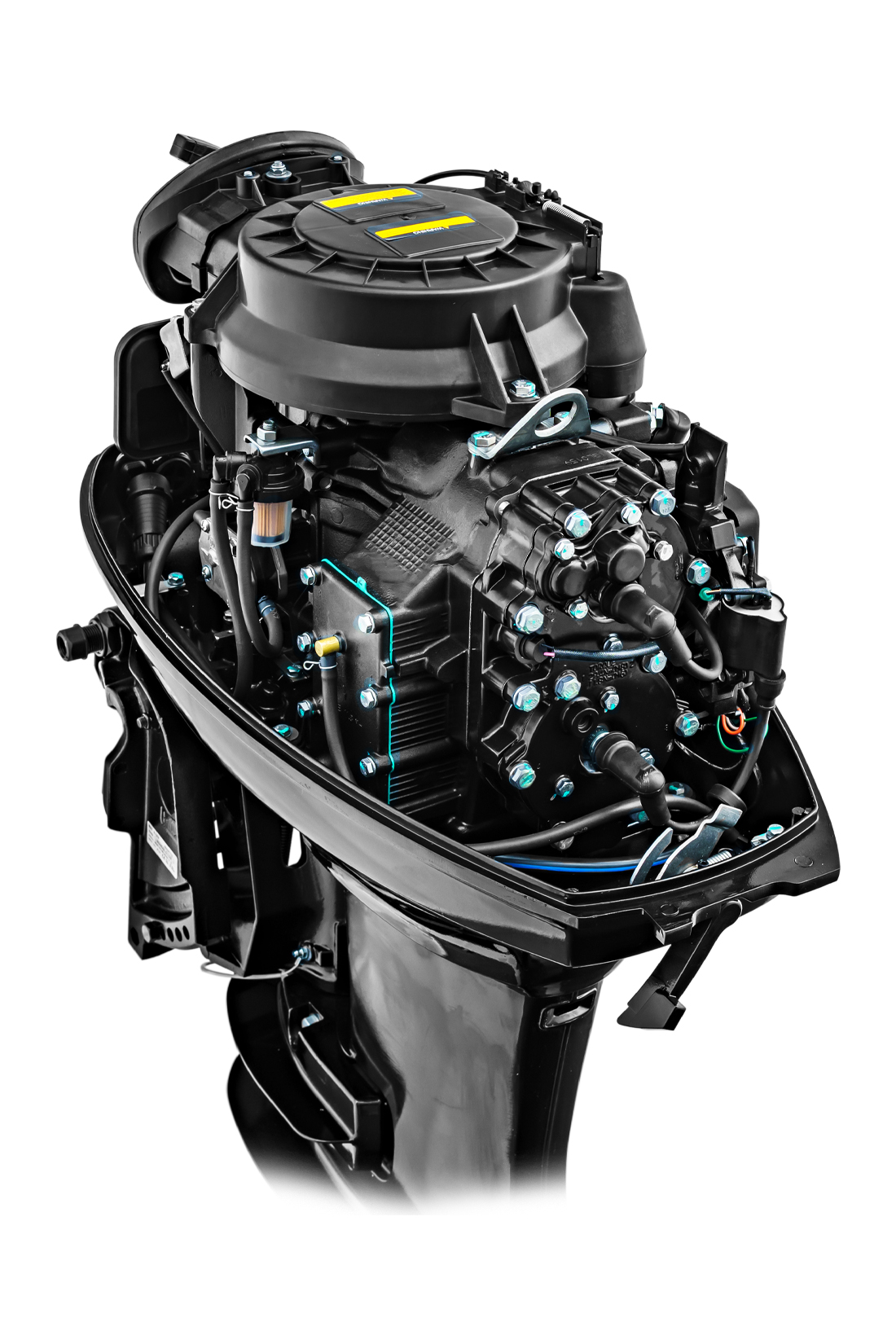 Мотор REEF RIDER RR40FFES Дистанция