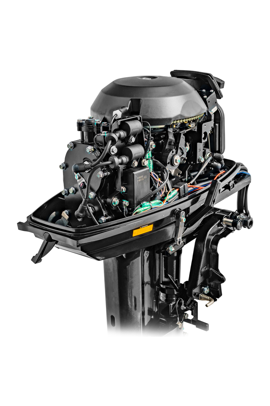 Мотор REEF RIDER RR30FFES дистанция